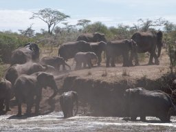 Western_Corridor2009-18